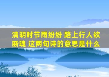 清明时节雨纷纷 路上行人欲断魂 这两句诗的意思是什么